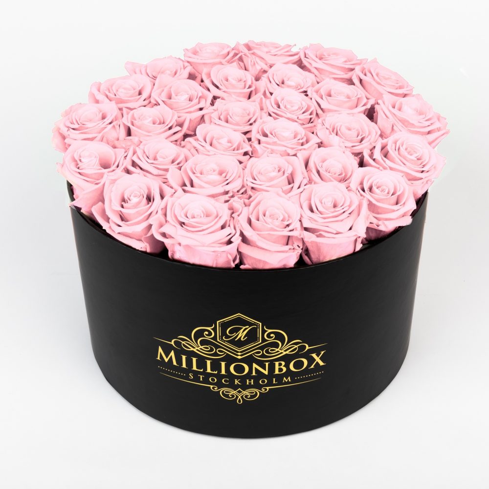 Lavinia Bello with Pink Rose | Millionbox.se