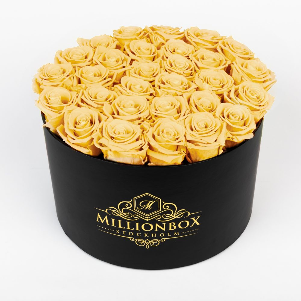 Lavinia Bello with Yellow Rose | Millionbox.se