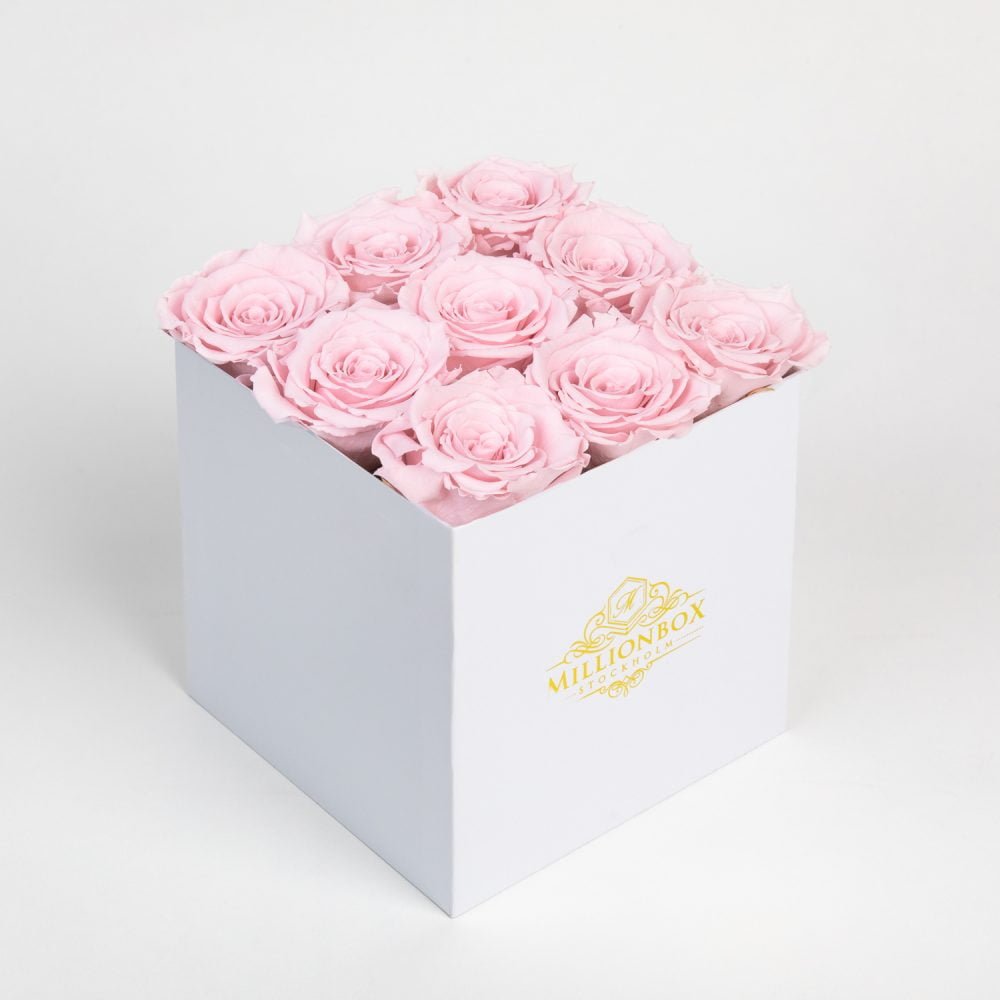 Levante Alora with Pink Rose | Millionbox.se